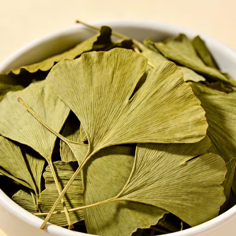 Feuilles de Ginkgo Biloba séchées de qualité supérieure pour la beauté