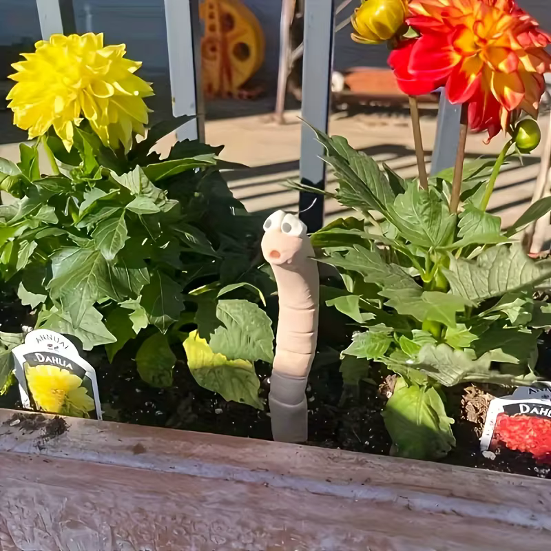 Décorations de plantes de ver de sorcière