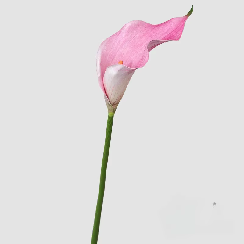 Lys Calla Artificiel avec Grand Long Poteau