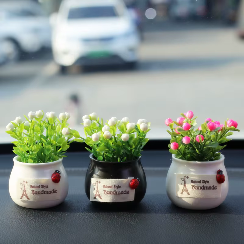 Plante porte-bonheur en pot
