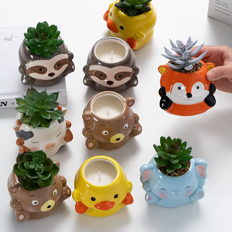 Jardinière succulente en céramique multifonction