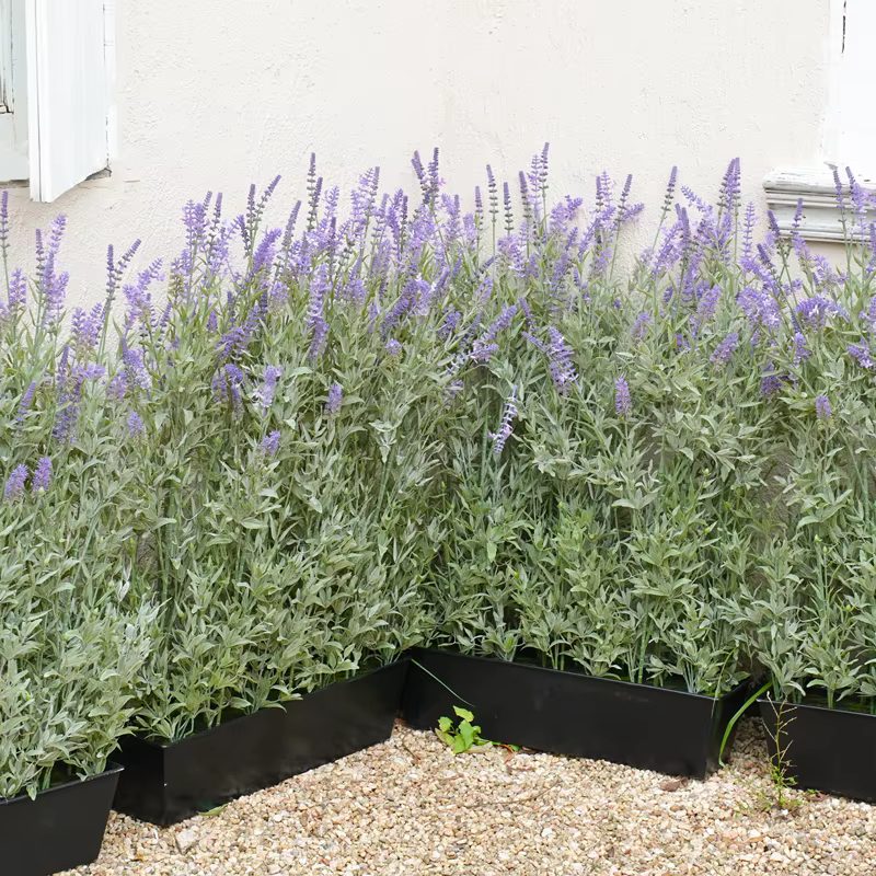 Plante en Pot Artificielle de 2