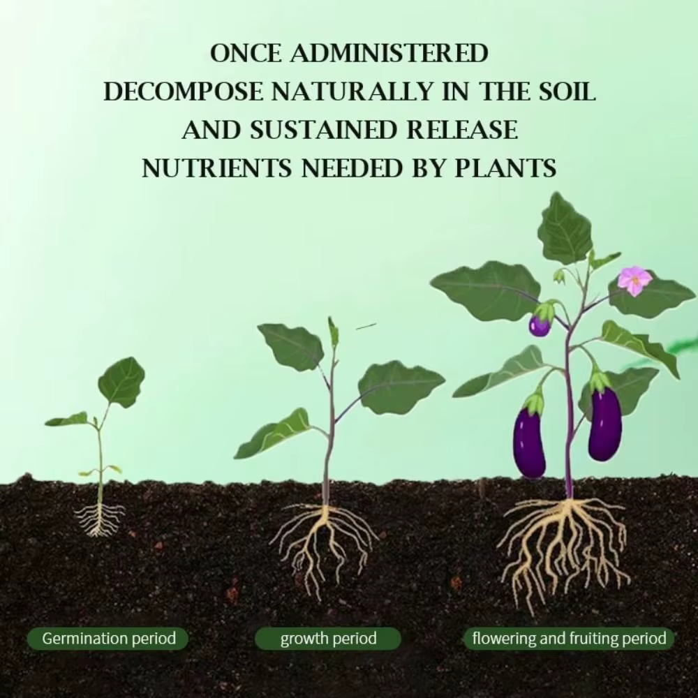L'engrais organique au phosphore à libération restée accélère la croissance des plantes comprimés nutritionnels