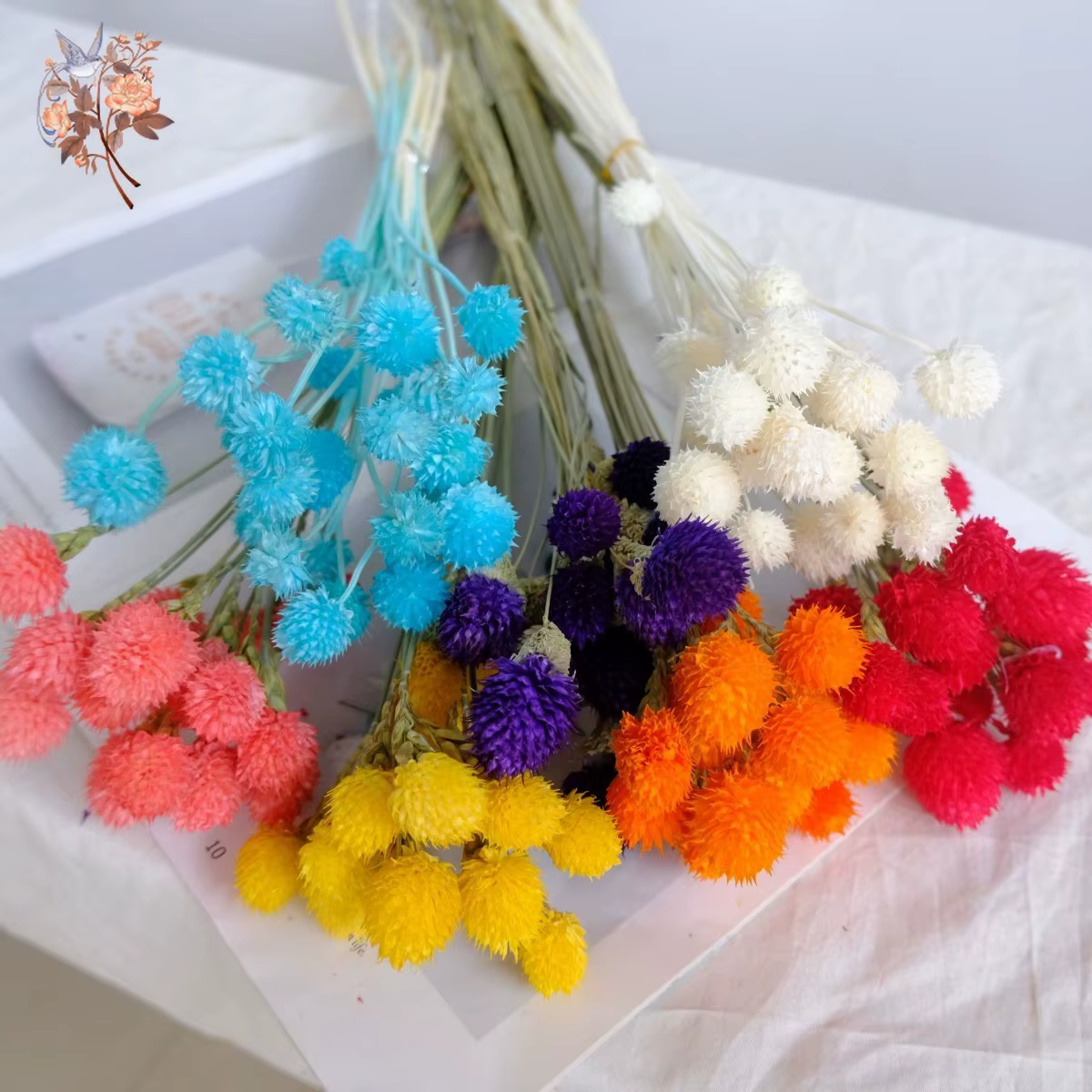 Bouquet de fleurs de fruits Harvey séchés naturels