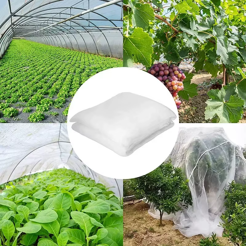 Filet de protection pour plantes de jardin