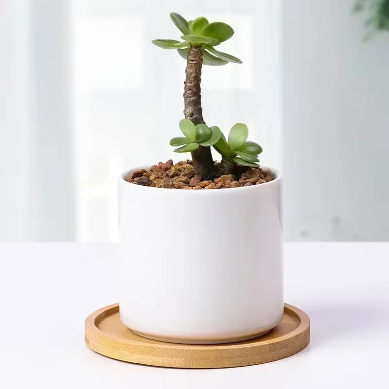 Plateau multi-bambou, soucoupe en bois