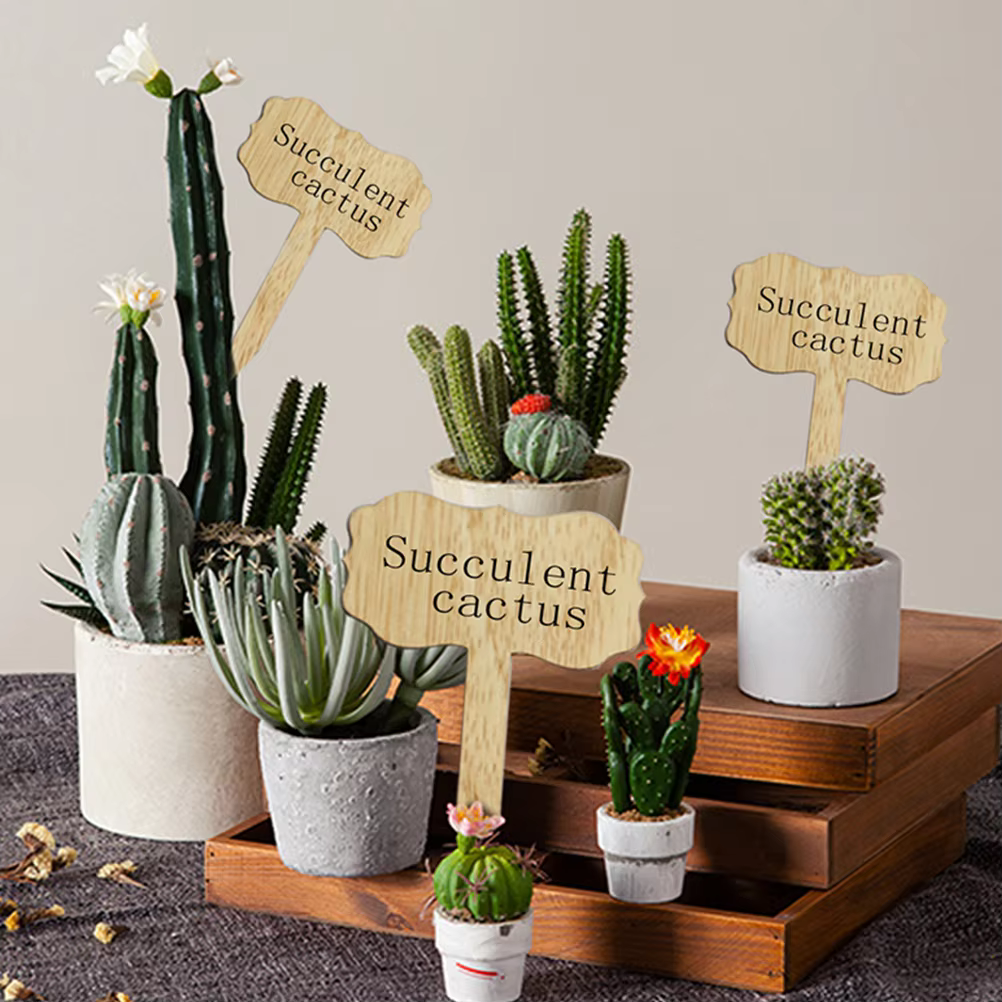 Étiquettes de plantes en bois
