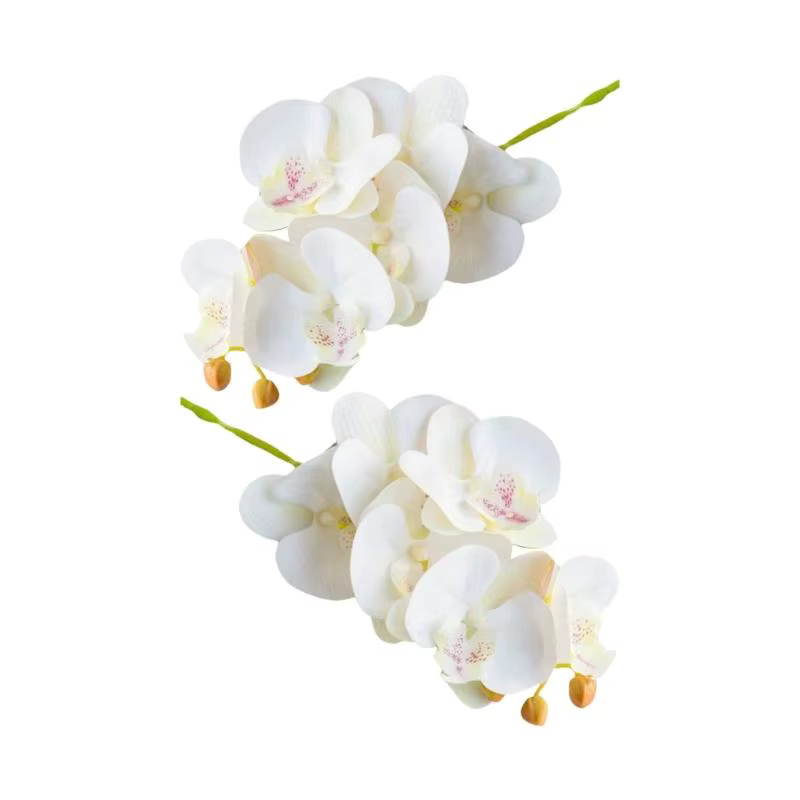 E8BD – lot 2 fleurs d'orchidées papillon