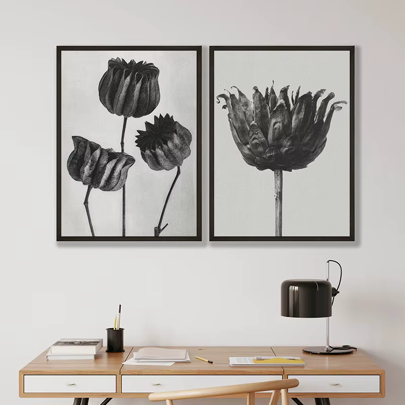 Karl Blossfeldt noir et blanc plante fleur minimaliste esthétique impression toile peinture pour salon moderne décor à la maison