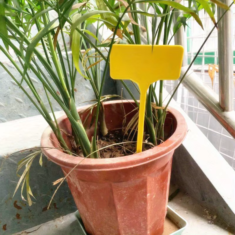 Étiquettes de plantes de jardin en plastique de Type T
