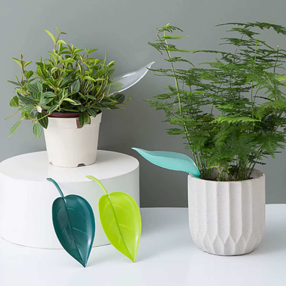 Nouveau Abreuvoir, entonnoir à feuilles