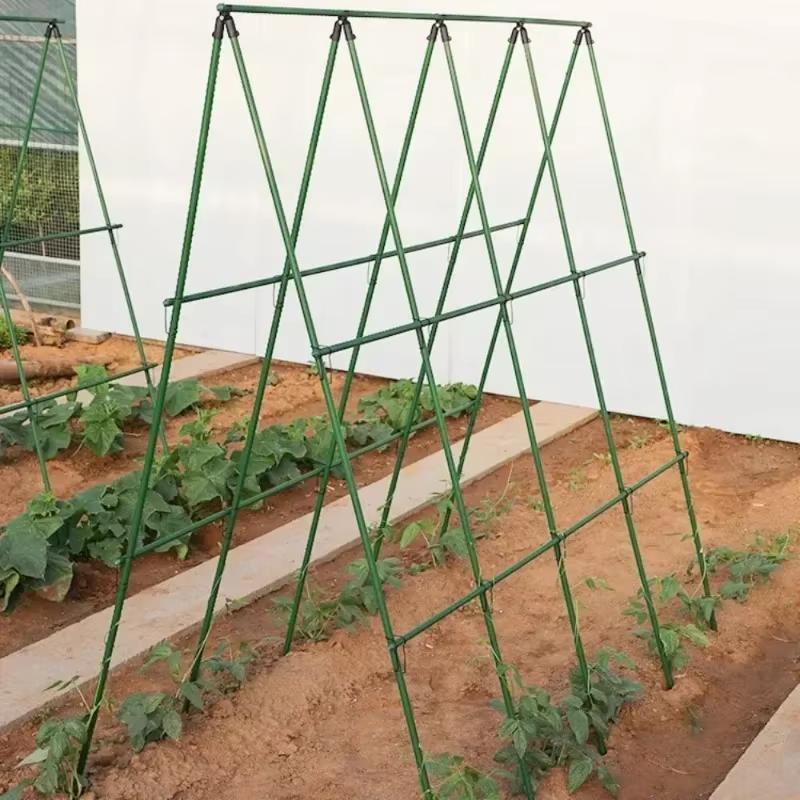 Nouveau 2026 Treillis de support robuste pour plantes grimpantes