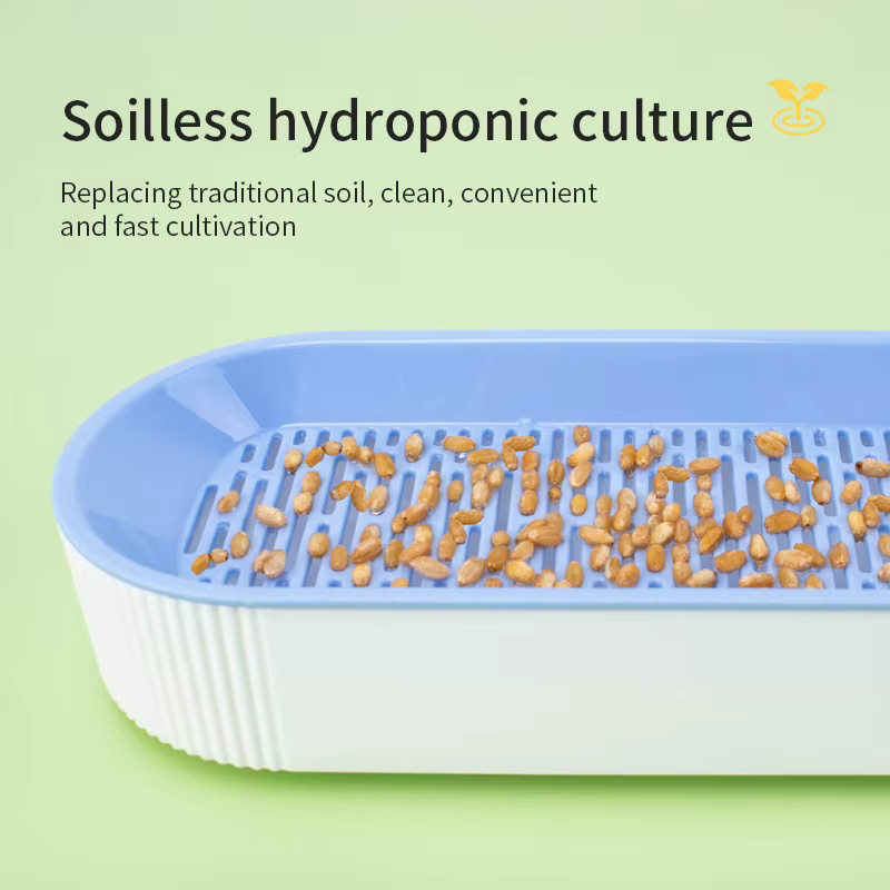 Kit de culture hydroponique d'herbe à chat pour chats