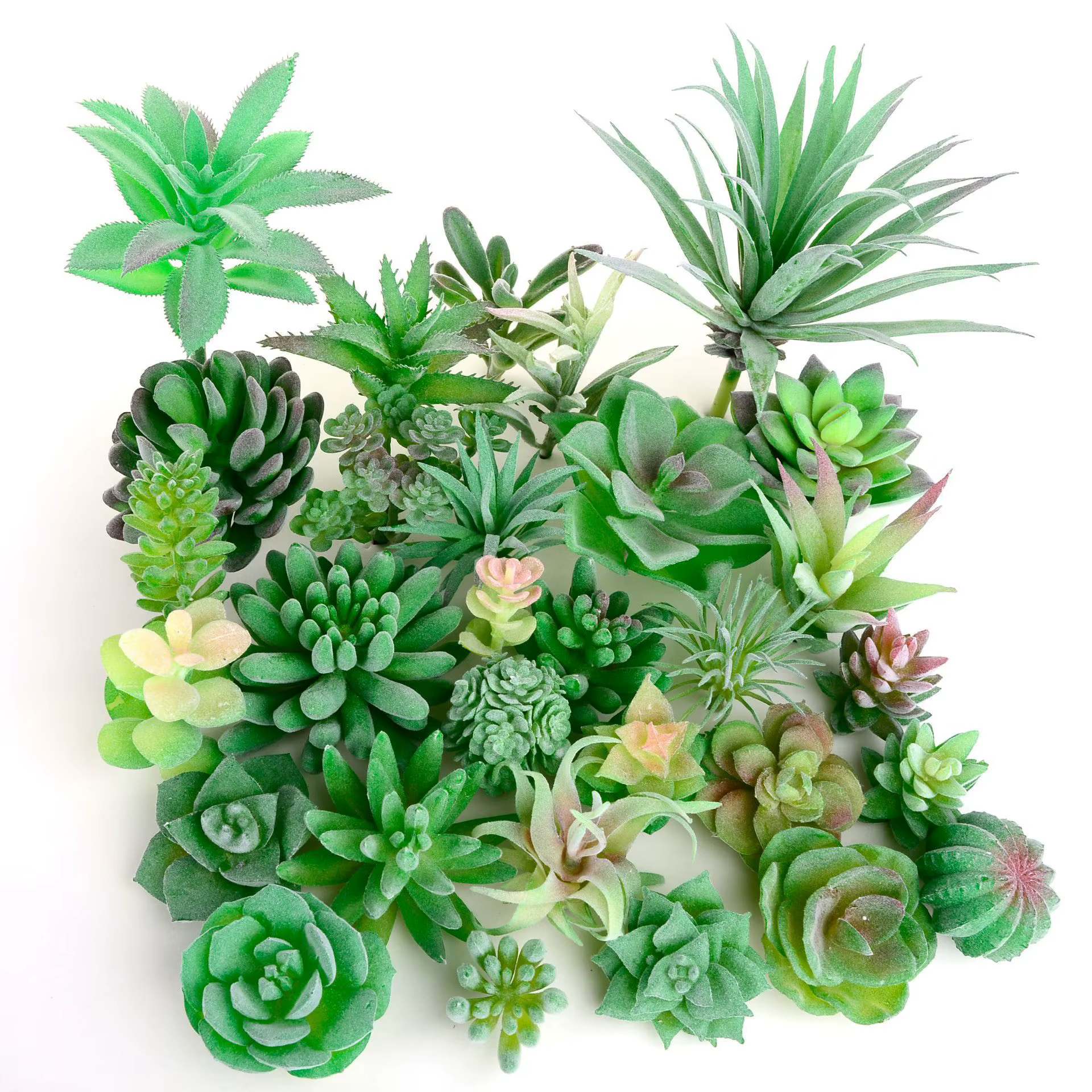 Plantes succulentes artificielles floquées vertes