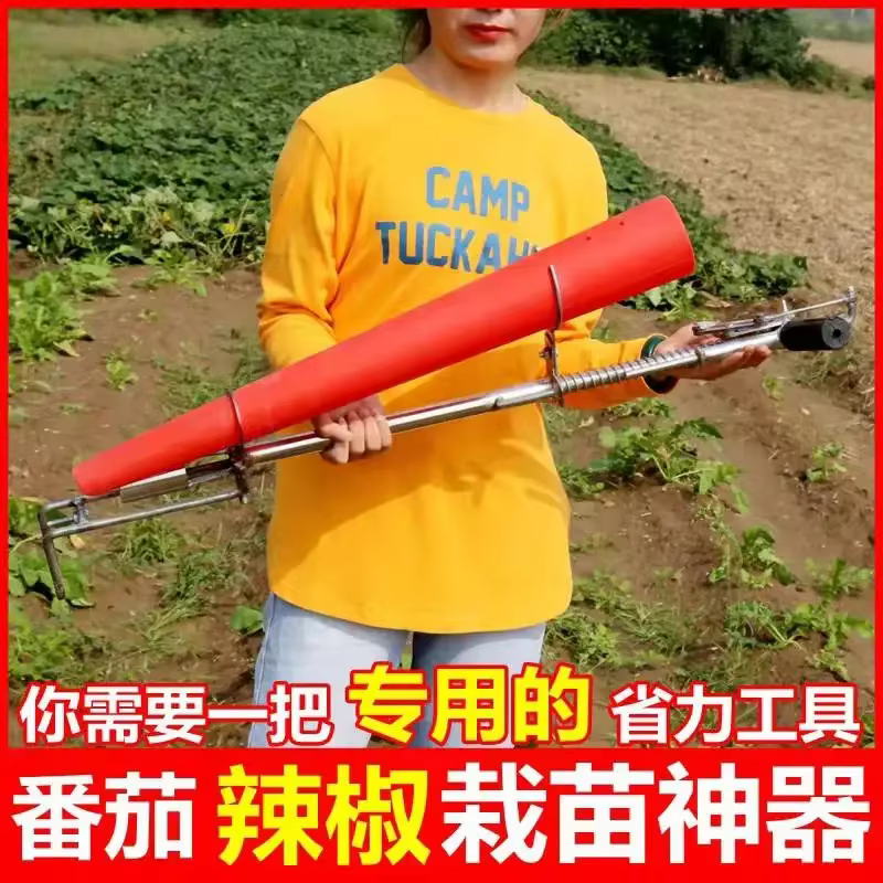 Outil de plantation de semis