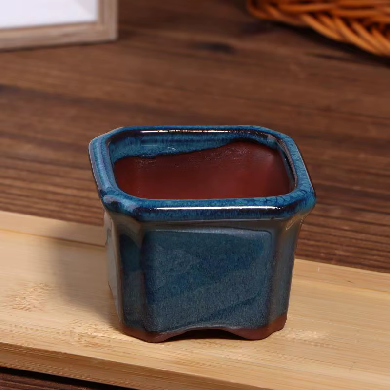3 mini-pots de fleurs en céramique pour plantes succulentes