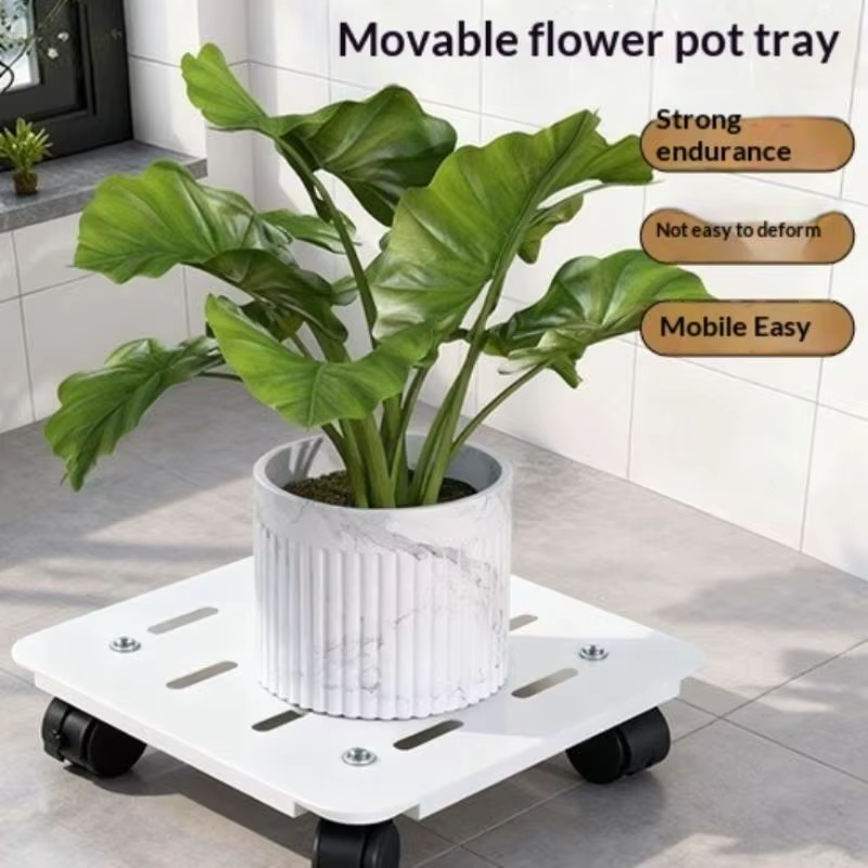 Plateau pour plantes mobiles – Chariot à roulettes robuste