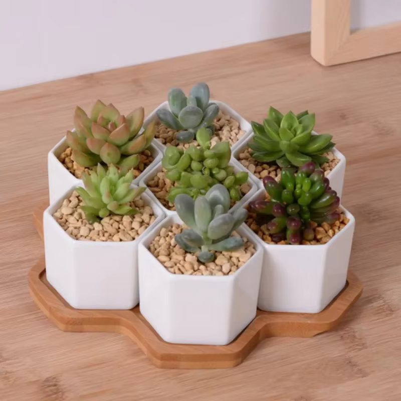Pot de fleurs hexagonal en céramique blanche avec support en bambou