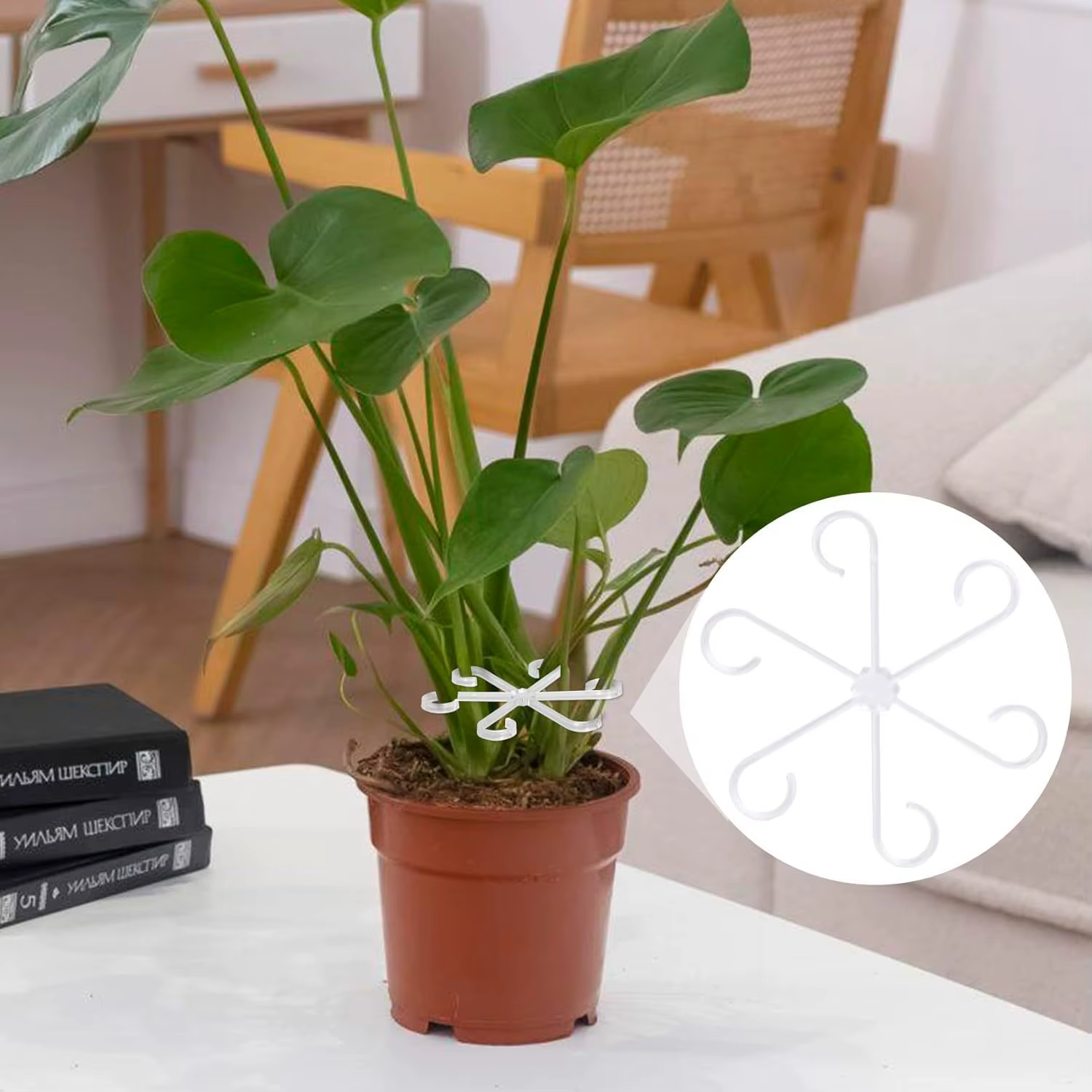 Poteau de Support anti-renversement pour plantes vertes