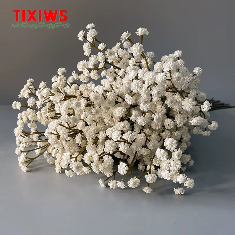 Fleur séchée Gypsophila de 62 cm de haute qualité
