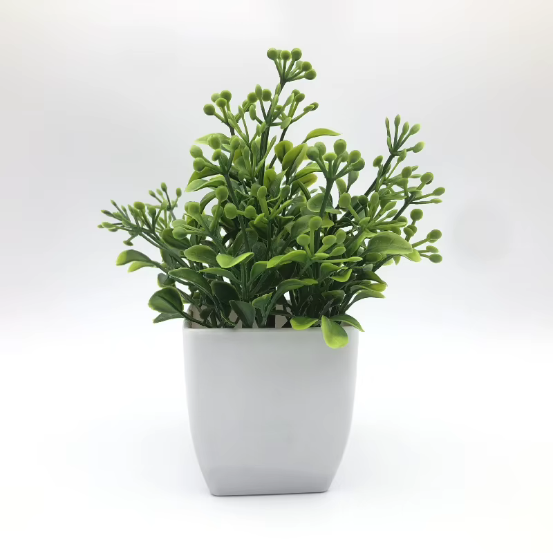 Simulation de plante verte