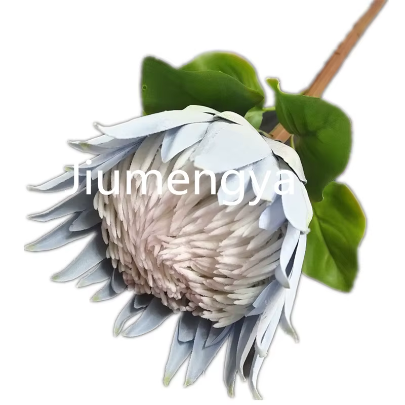 InjProtea-Branche de Fleur Artificielle de Cyovale oides