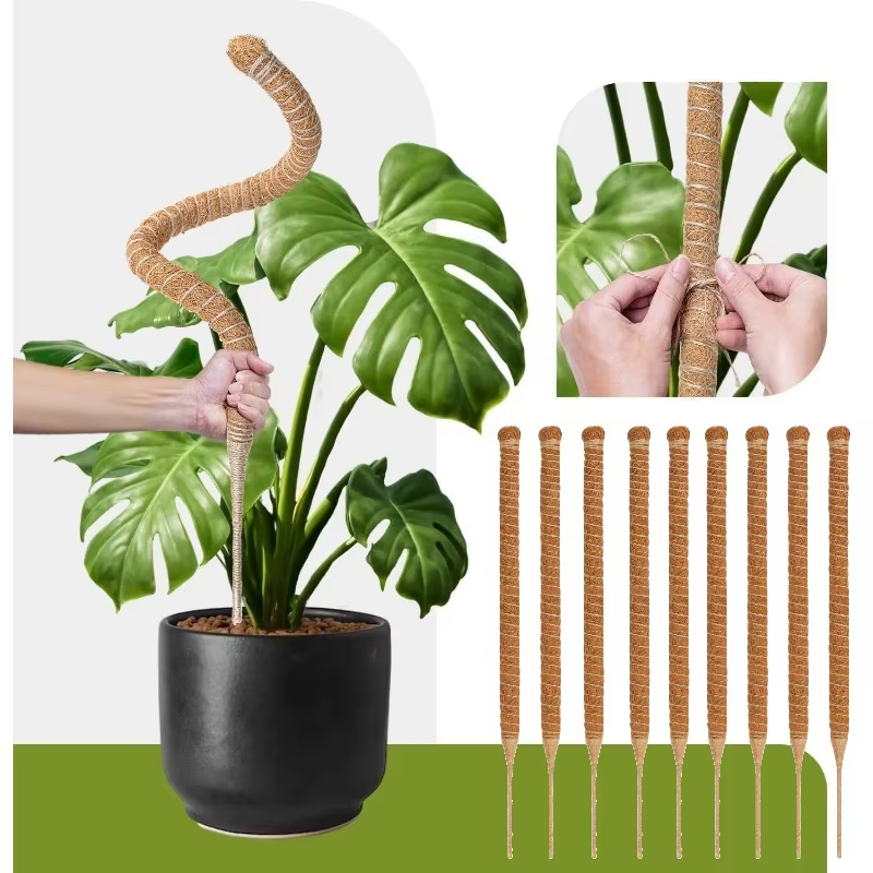 Poteau en mousse flexible pour plantes, en fibre de coco, support pour Monstera, fait main, accessoires de jardinage DIY pour plantes grimpantes