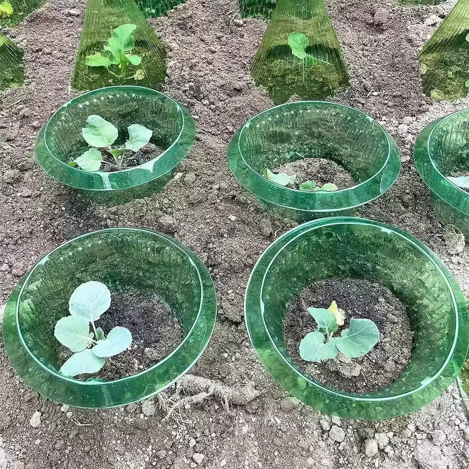 5-30 pièces Anneaux de protection contre les limaces pour plantes
