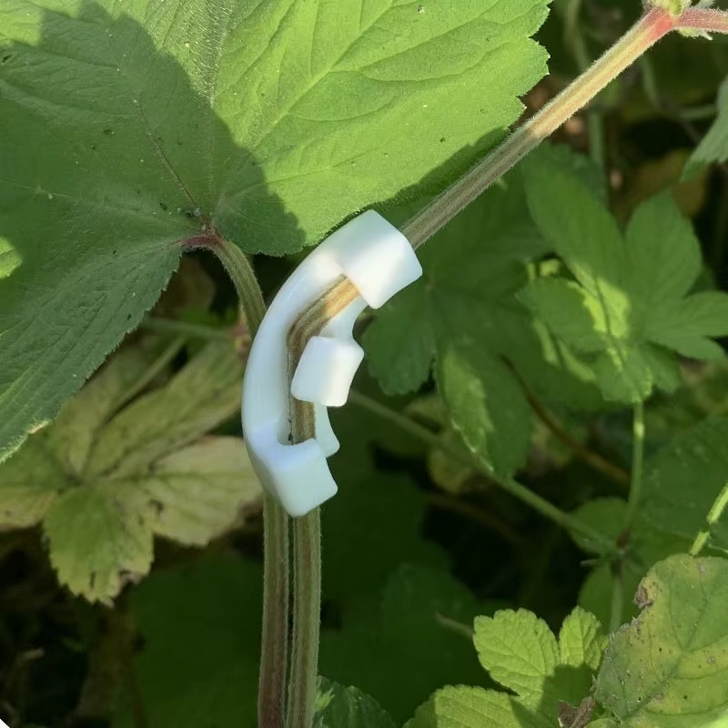 Outil de pliage de branches de bonsaï