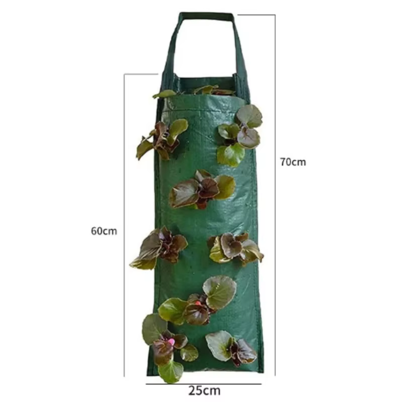 Nouveau sac de culture suspendu à 6 trous pour fraises