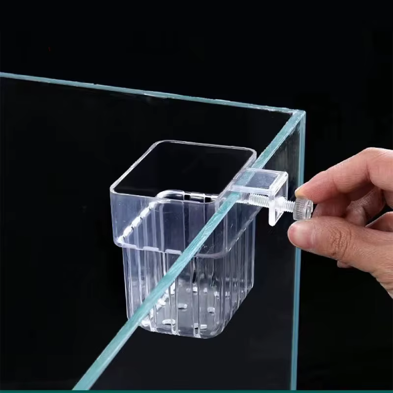 Nouveau【Pot de culture hydroponique domestique pour plantes aquatiques