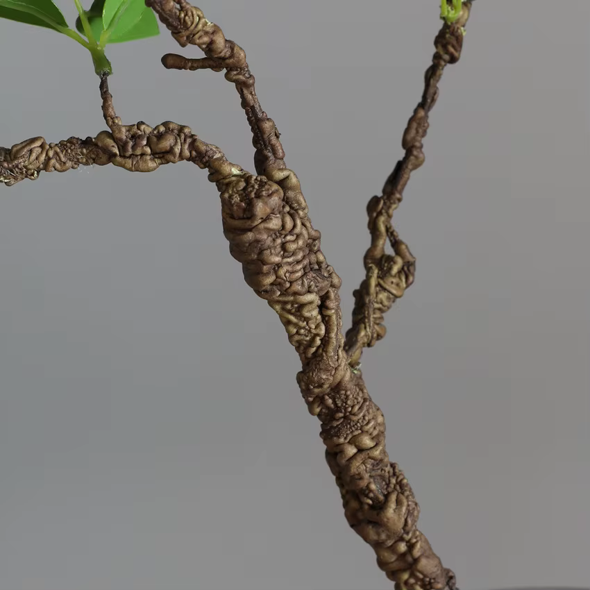 Nouvelle brindille d'arbre flétri
