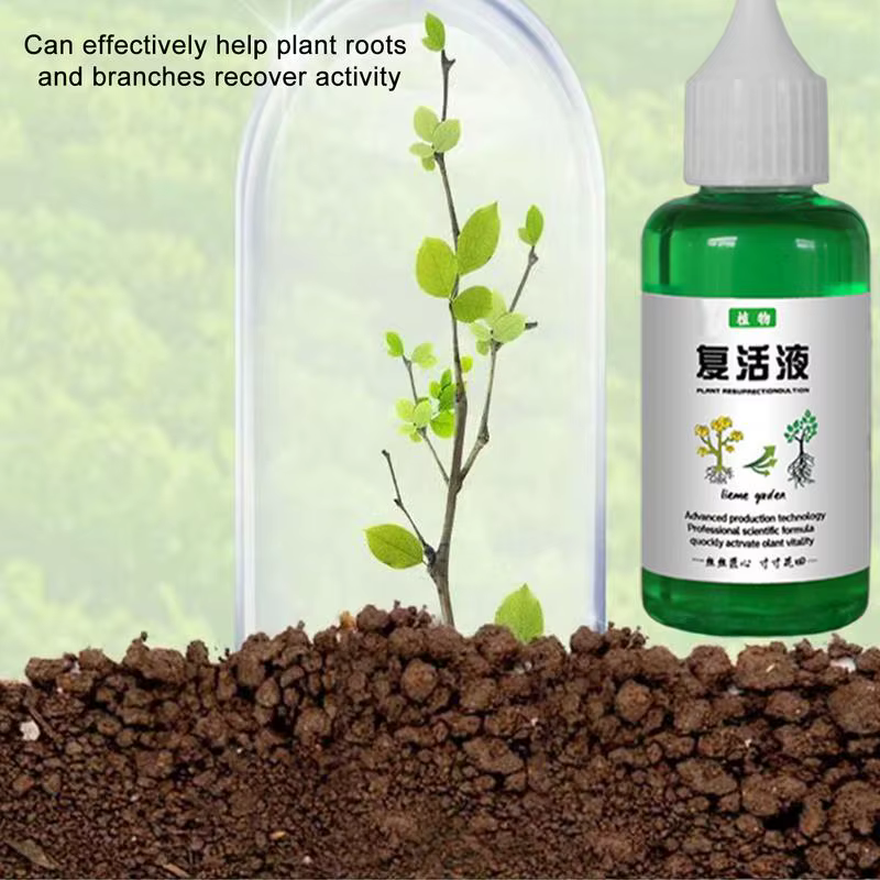 Liquide de résurrection pour plantes