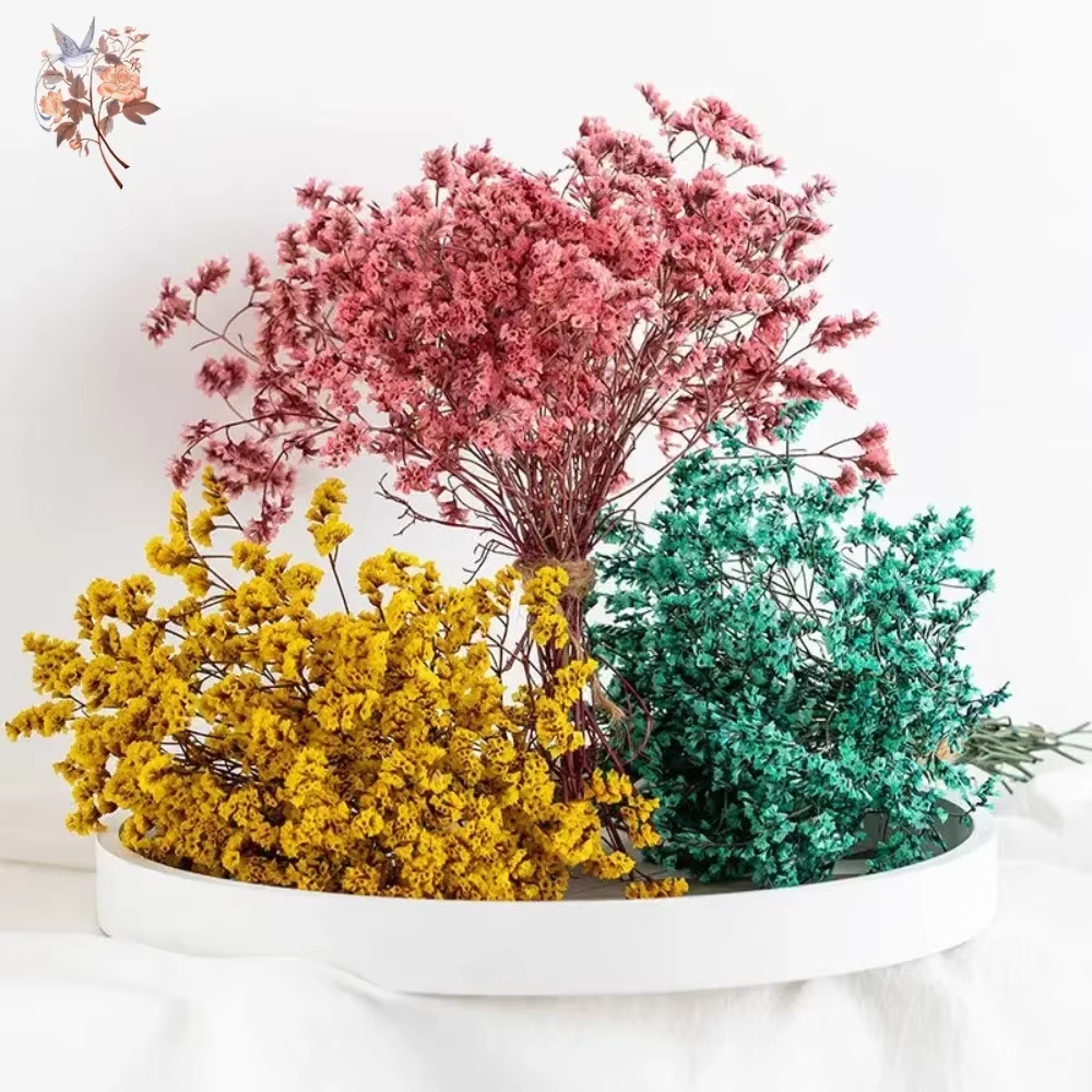 Bouquet de fleurs séchées colorées en herbe de cristal préservée naturelle