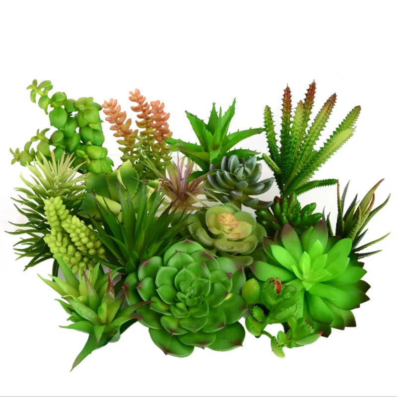 Petites plantes succulentes artificielles en PVC