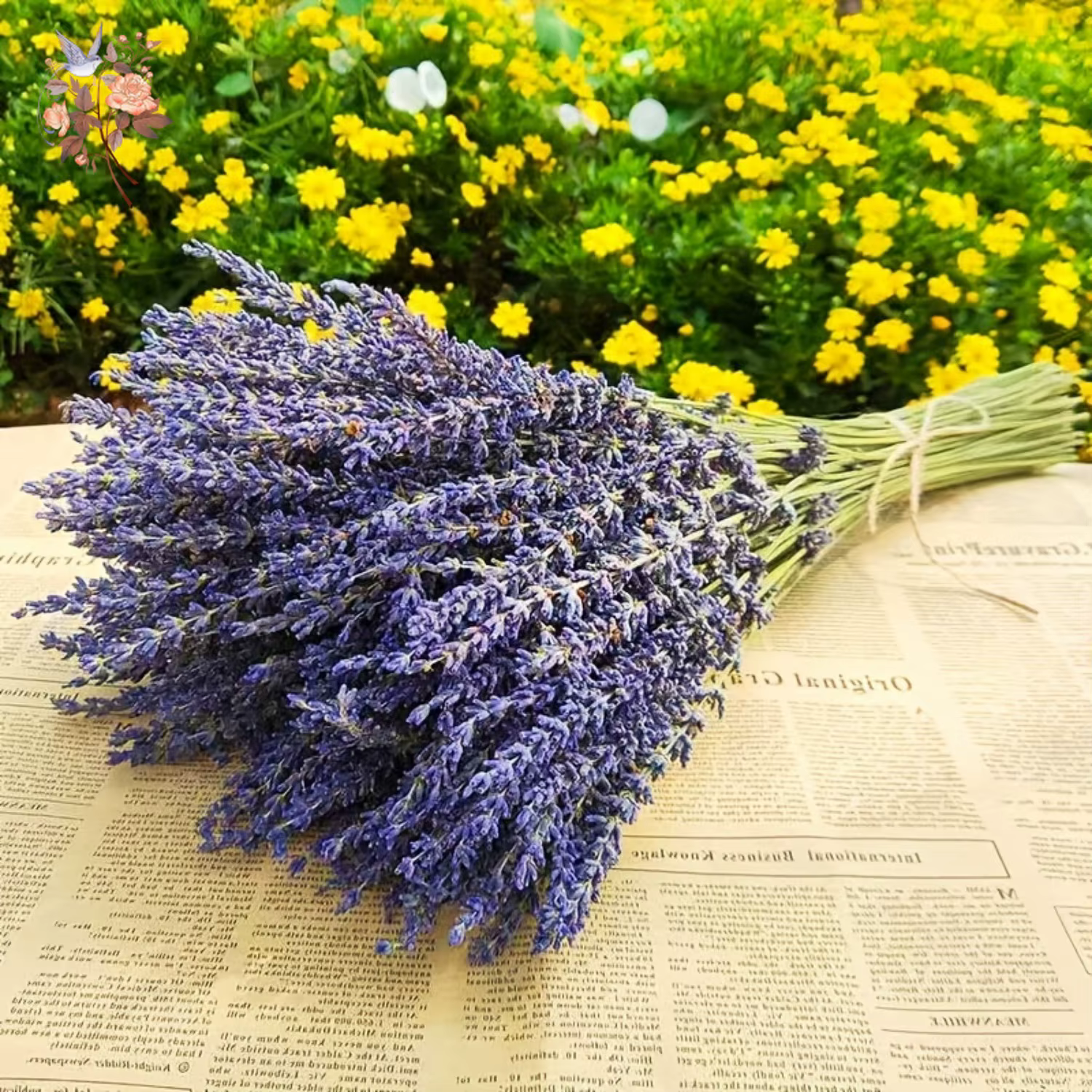 Bundles de fleurs de µséchées naturelles