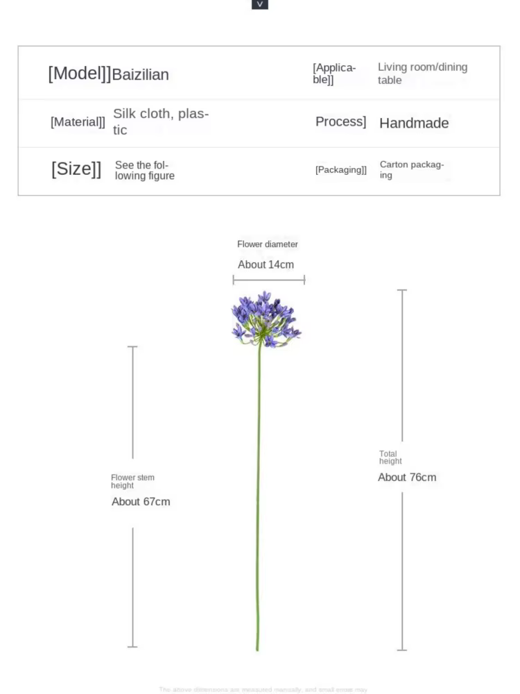 Branche d'agapanthus africaine de luxe