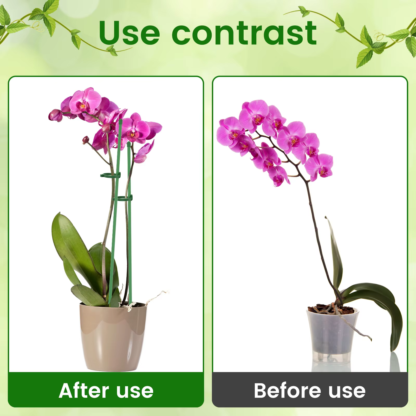 Piquets de Support pour plantes