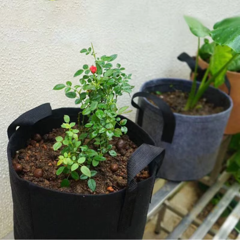 Sacs de Culture pour Plantes de 2, 5, 7, 10 Gallons, Outils de Jardin Domestique pour Pommes de Terre, Fleurs, Arbres Fruitiers, Plantation en Tissu