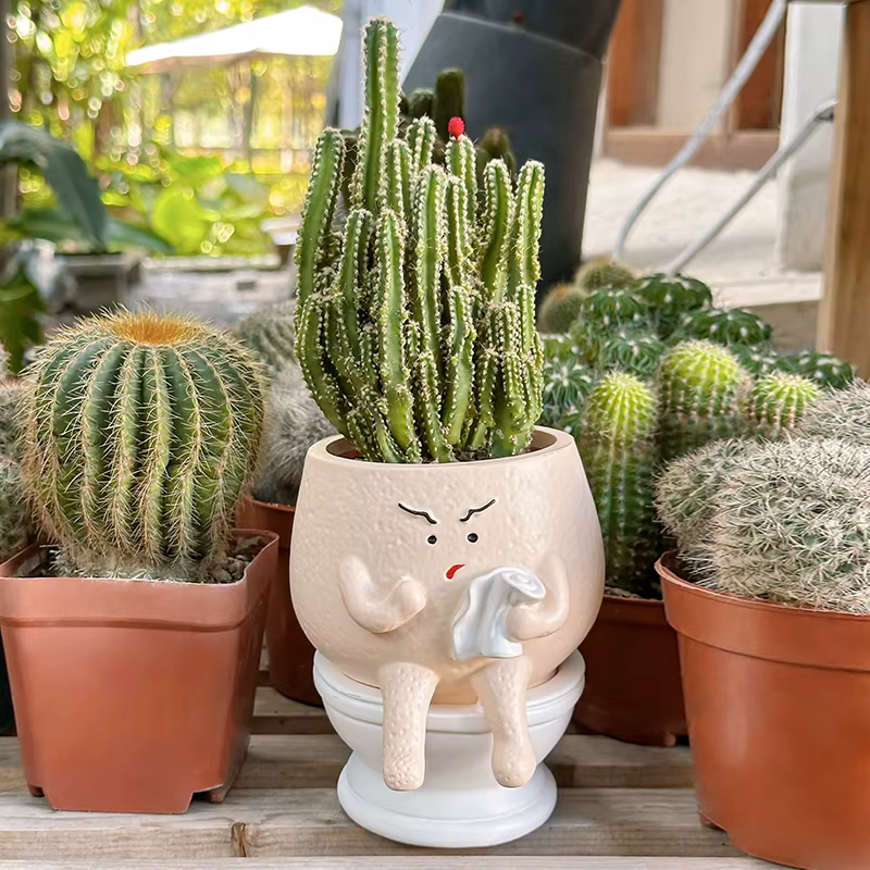 Pot de fleurs amusant en résine en forme de fantôme pour plantes succulentes avec porte-rouleau de papier toilette