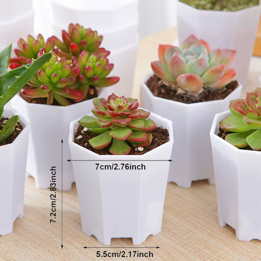 Pots octogonaux en plastique de 7cm