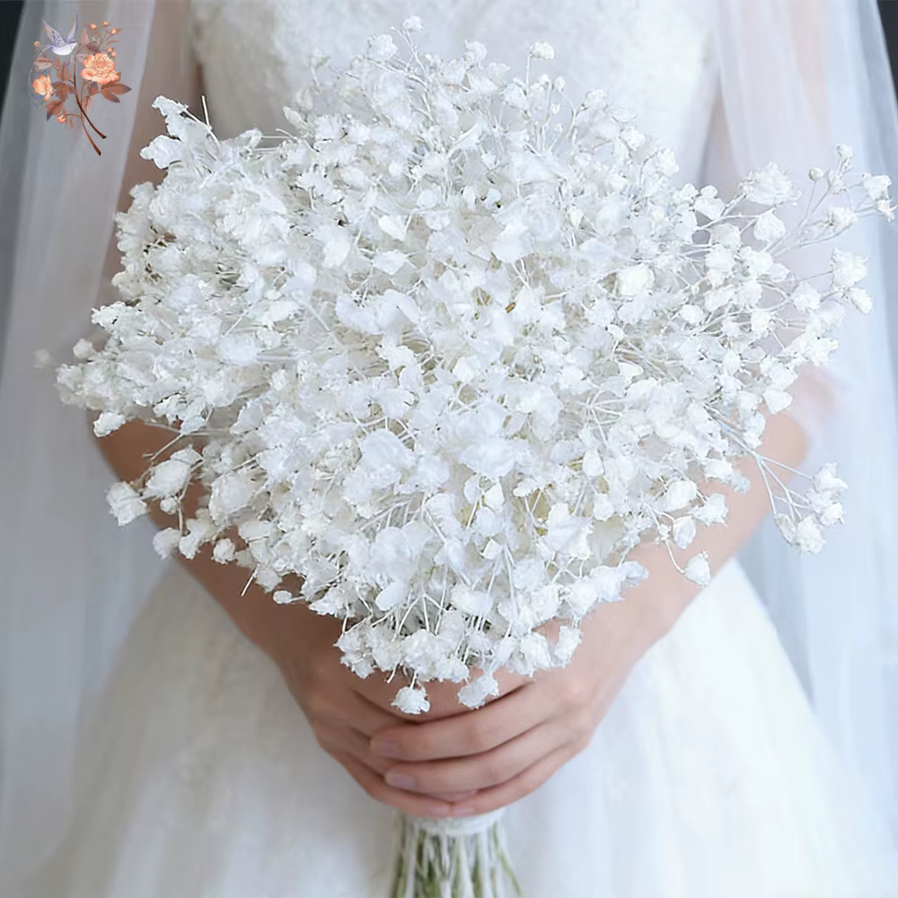 Fleurs de Gypsophile Blanches Séchées Naturelles