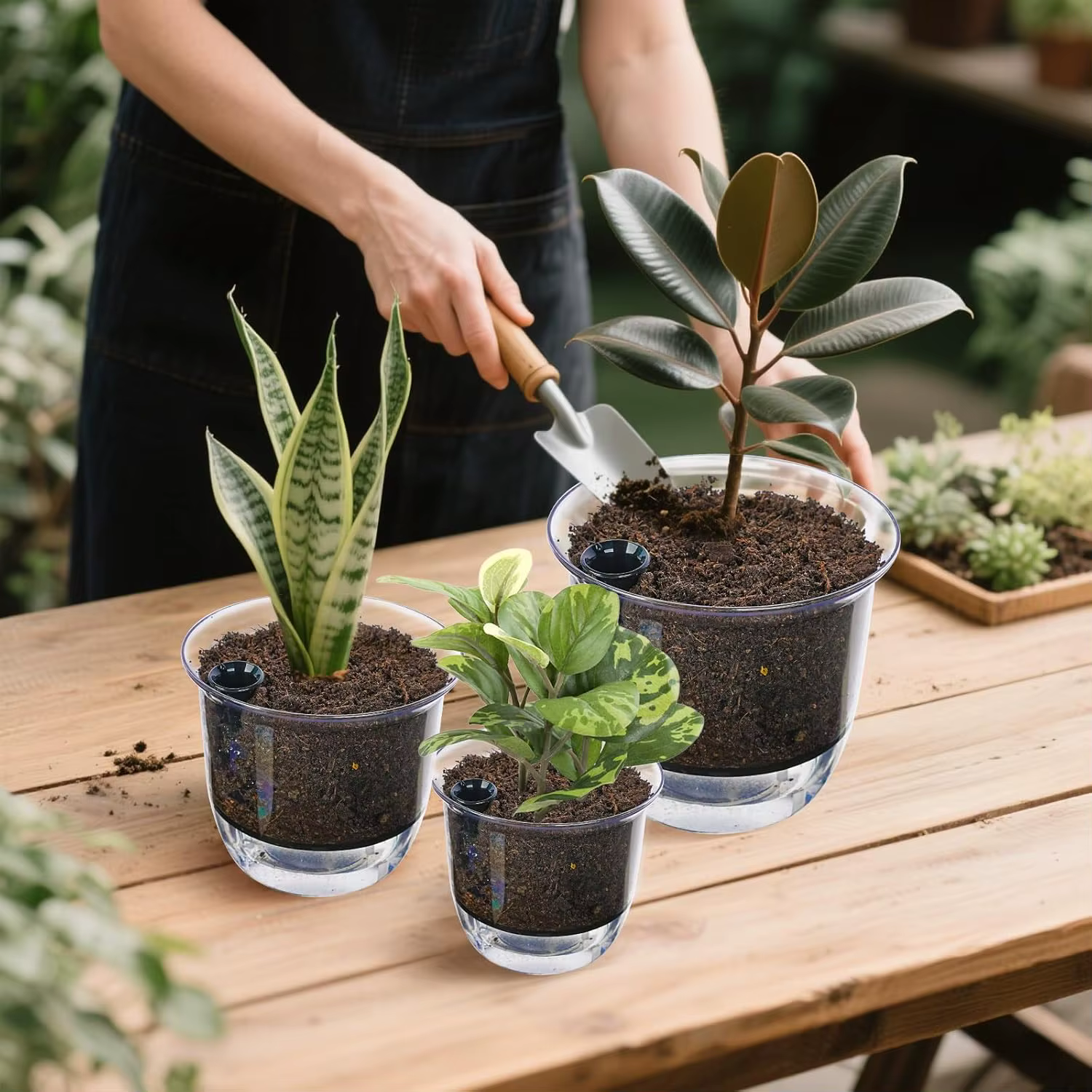 Pots de plantes en plastique