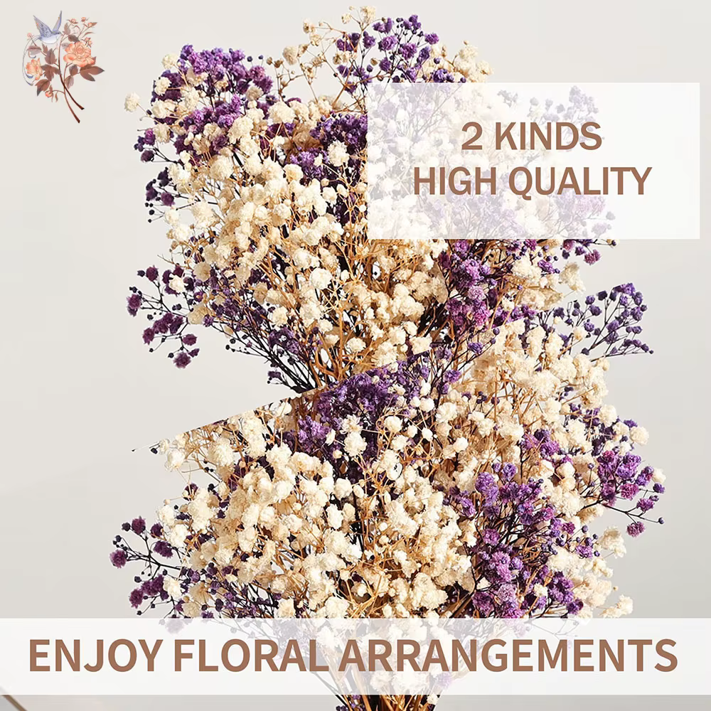 Bouquet de fleurs séchées naturelles Gypsophila (Souffle de bébé) 120g