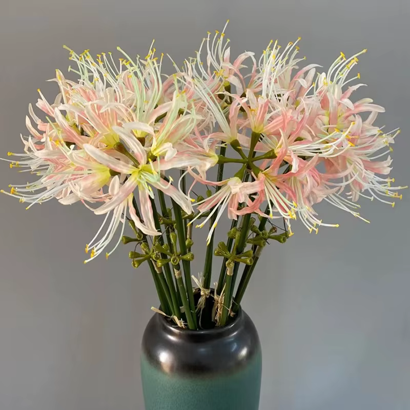 Higan – fleur de luxe à longue branche