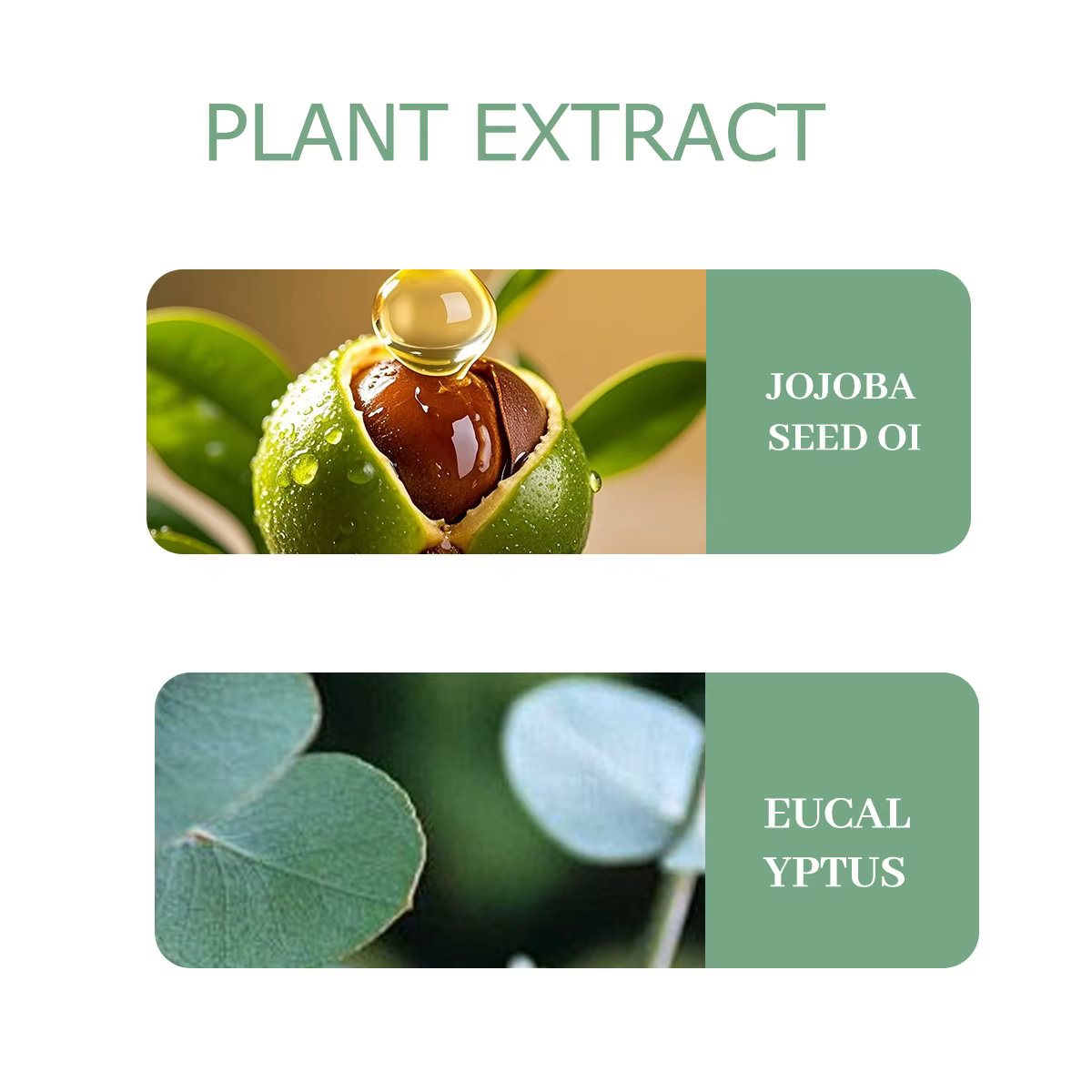 Huile essentielle d'eucalyptus 30 ml/60 ml/100 ml