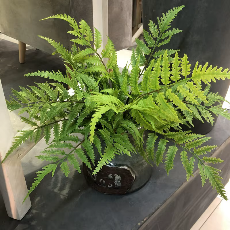 Plantes artificielles pour chambre à coucher