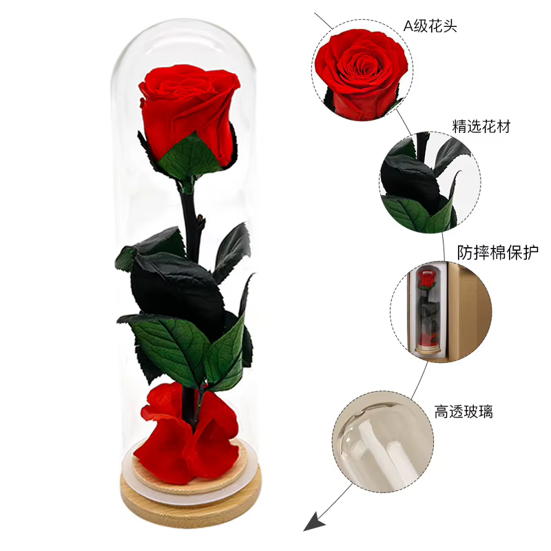 Forever Rose têtes couvercle en verre fini fleurs conservées fête des mères saint valentin anniversaire cadeaux créatifs pour copines