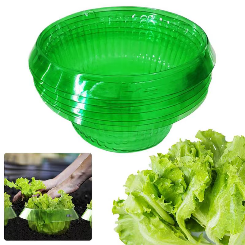 Plantes limace Protection anneaux légumes housse