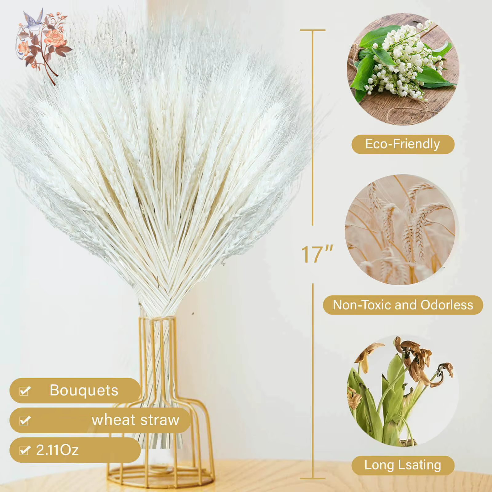 100 tiges de blé séché blanc